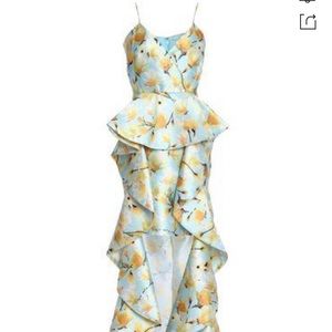 Badgley Mischka Dress